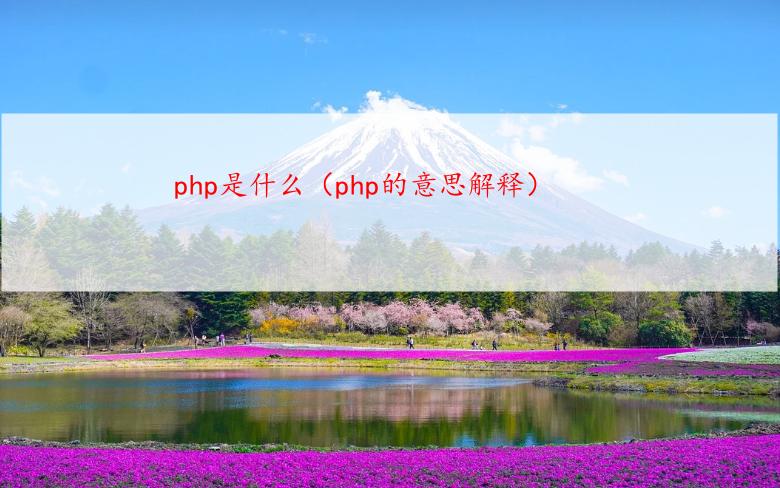 php是什么（php的意思解释）