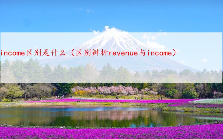 revenue和income区别是什么（区别辨析revenue与income）