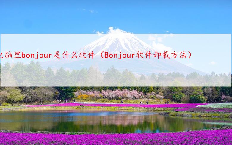 电脑里bonjour是什么软件（Bonjour软件卸载方法）