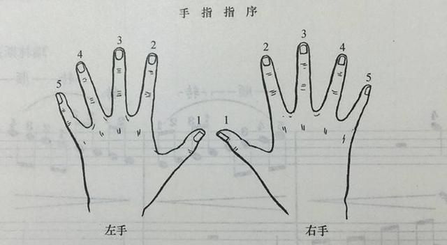 想弹钢琴却不会看谱？小编来帮你